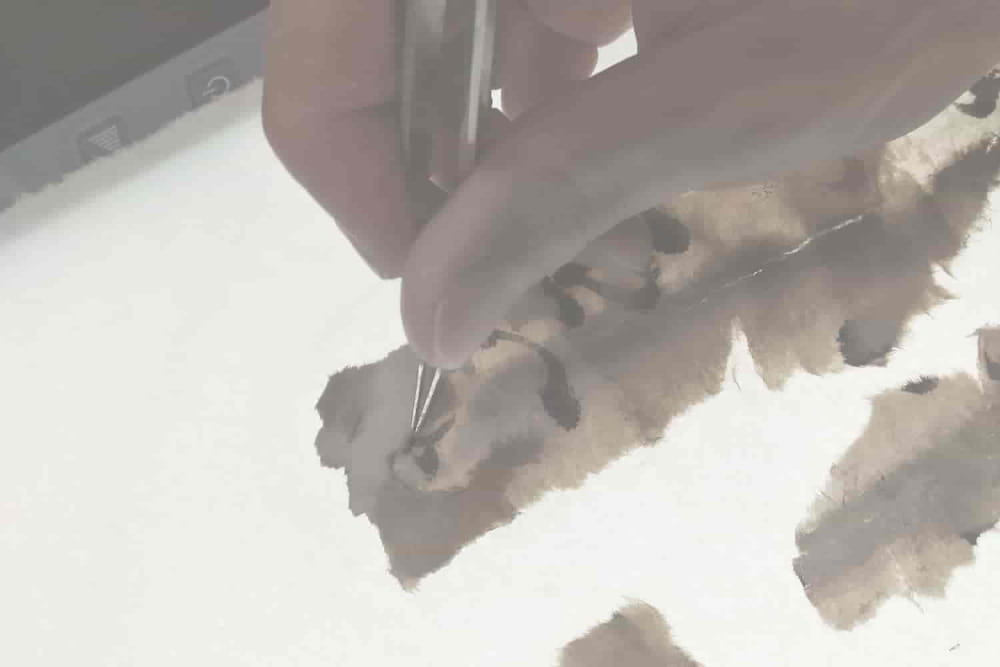 高野山 加勢田芳雲堂による古い書画の裏打ち紙を取り除く修理工程