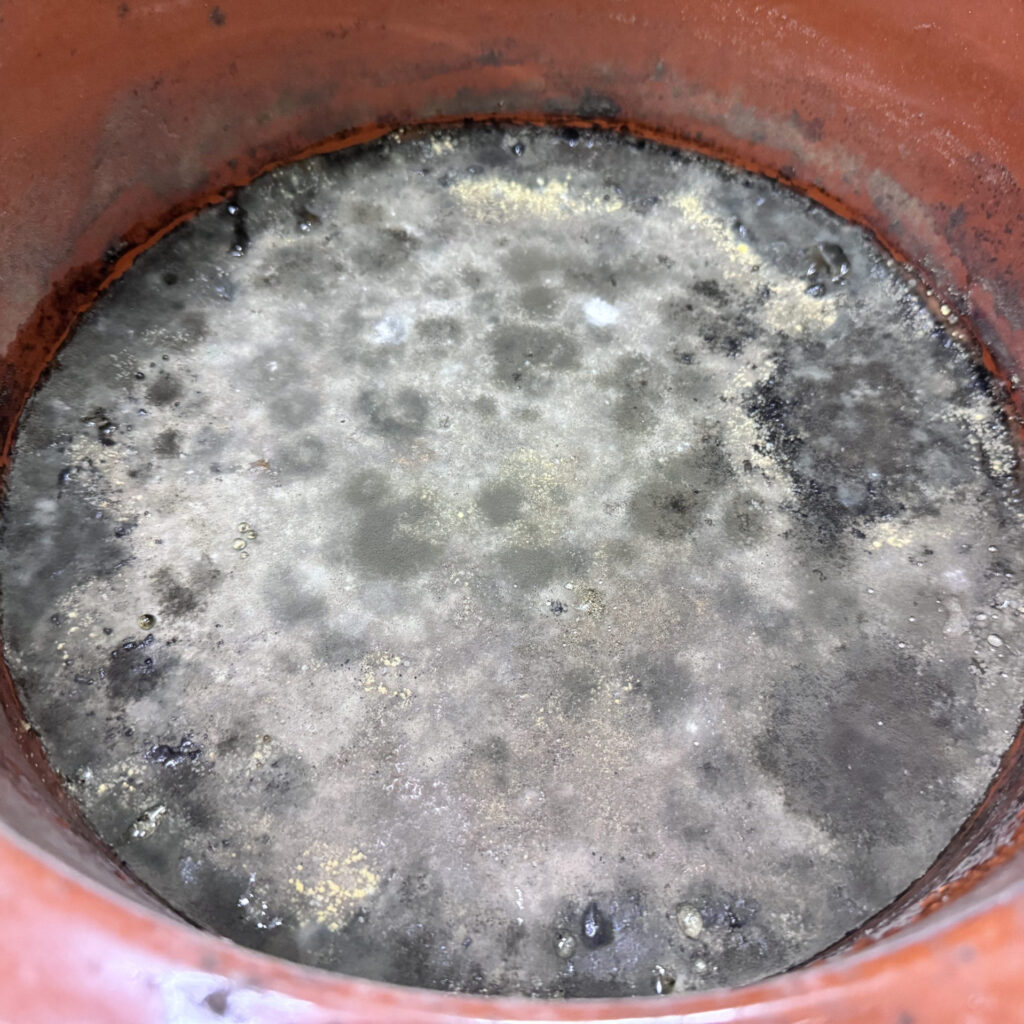 十年ほど保存した古糊の表面に現れたカビ